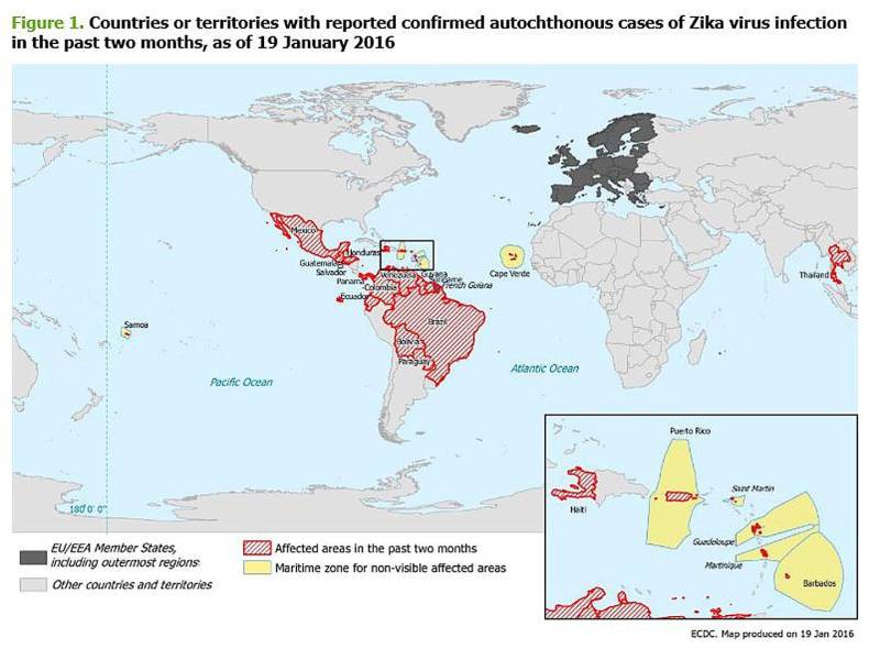 Diffusione del virus Zika oggi