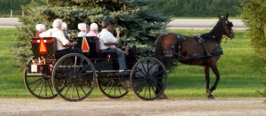 Un gruppo di Amish