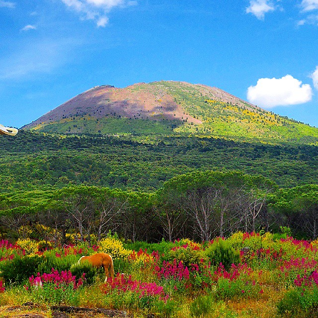 parco,vesuvio