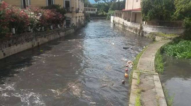 1-rifiuti-fiume-sarno-3-jpg-3209722.660x368