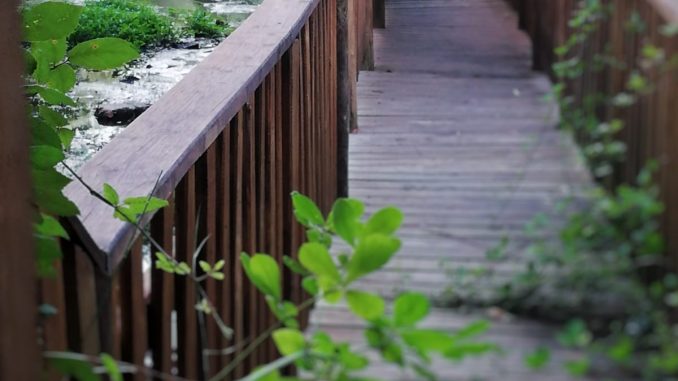 Una foto del lungofiume di Sarno