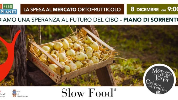 mercato NOVEMBRE 2024 email.mela_limoncella