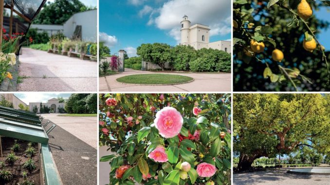 COLLAGE GIARDINO