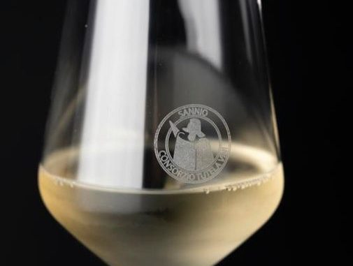 vino falanghina