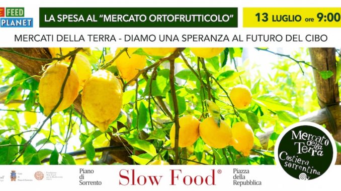 mercato_luglio_2025_6x3_limoni (1)