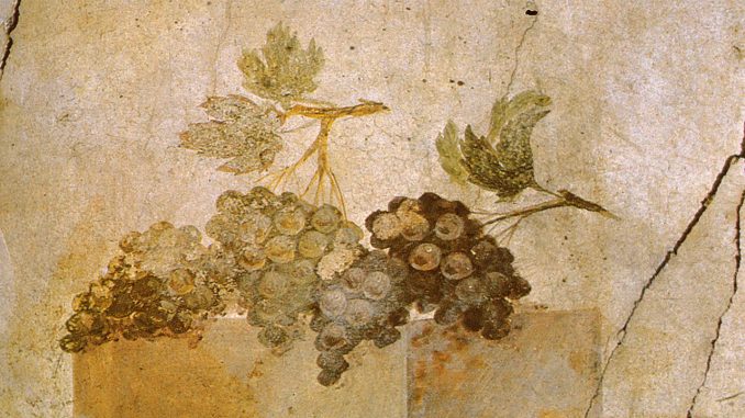 PompeiAffreschiUva